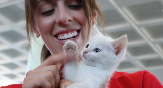 Purina Acquires Leading Pet Adoption Website
