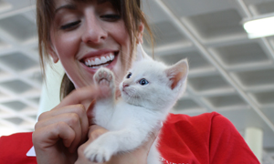 Purina Acquires Leading Pet Adoption Website