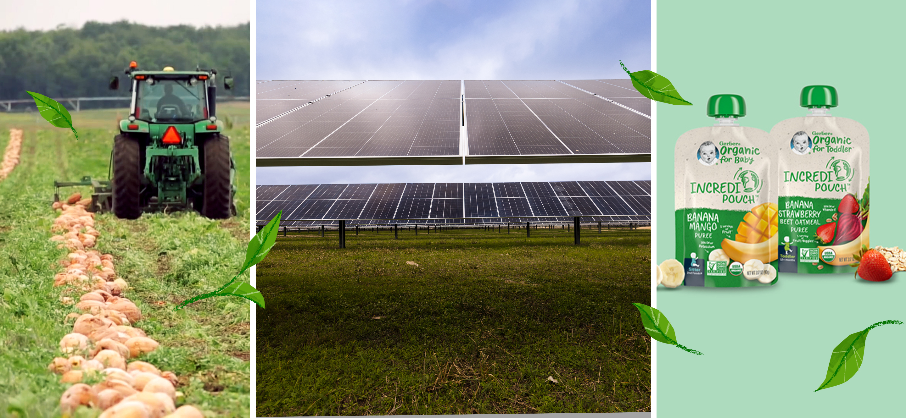 Towards a Healthier Planet