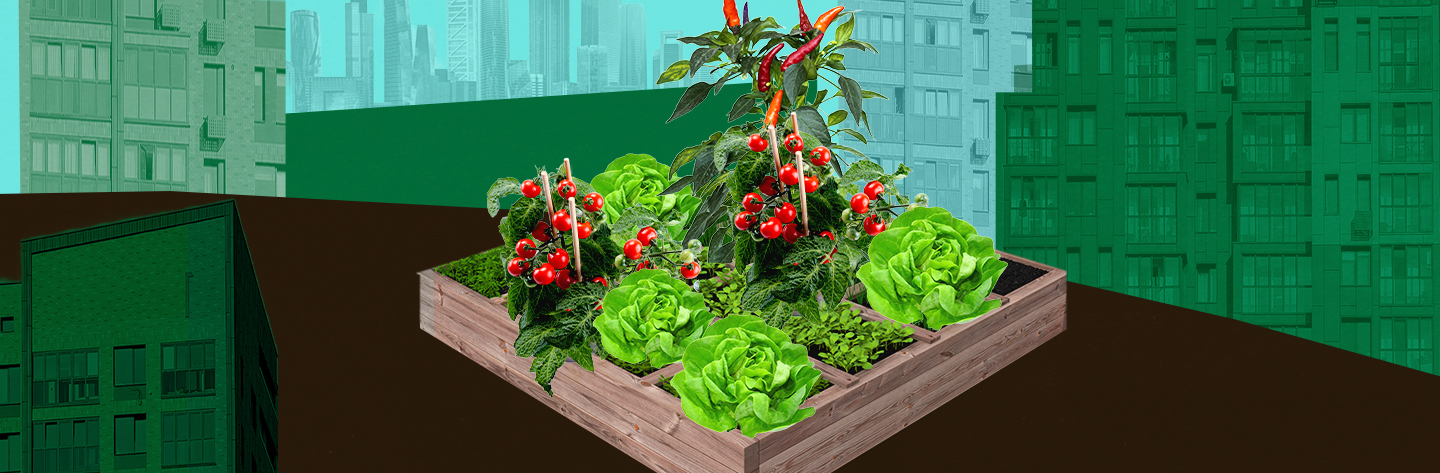 Garden box planter illustration