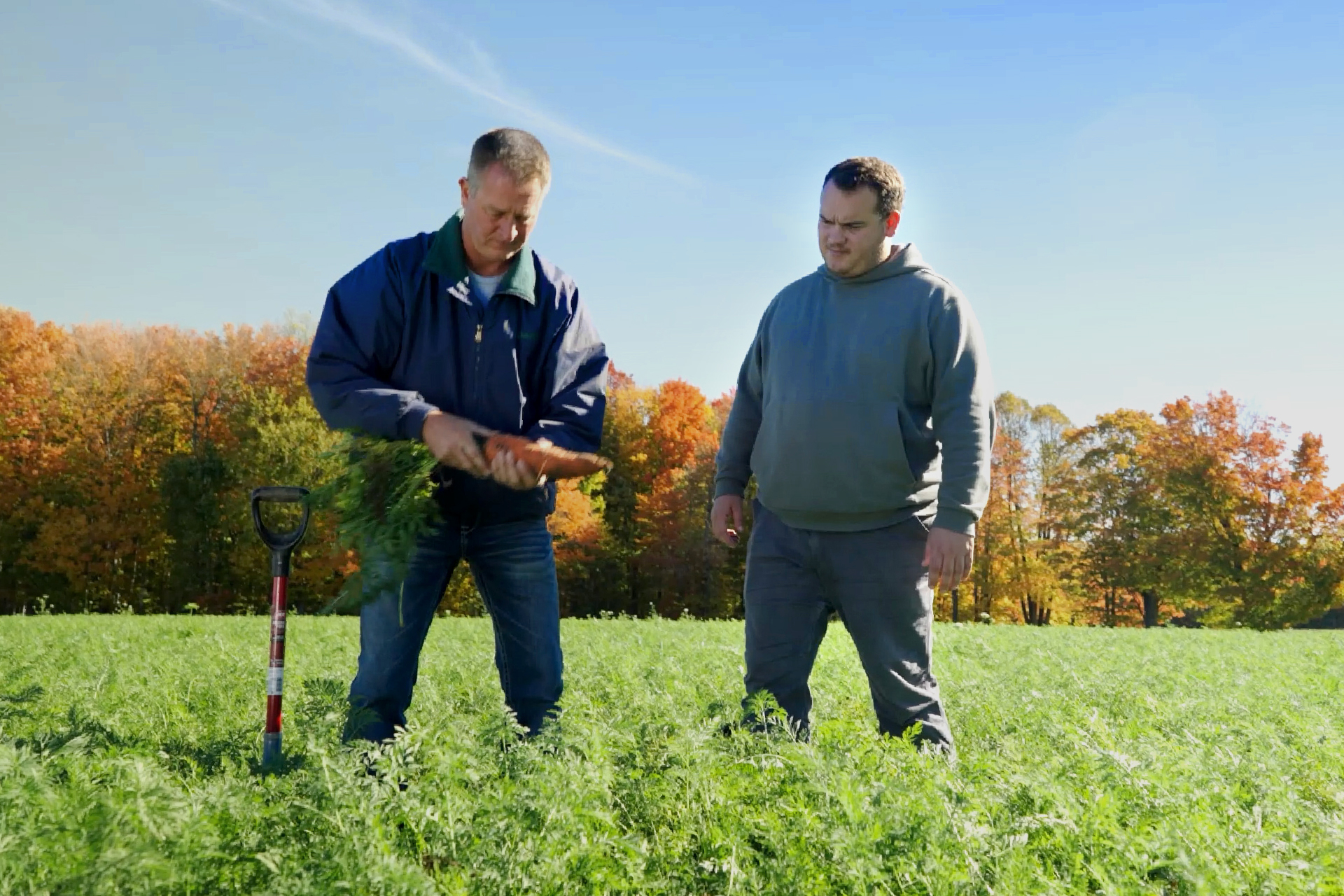 Two men on farm with vegetable
