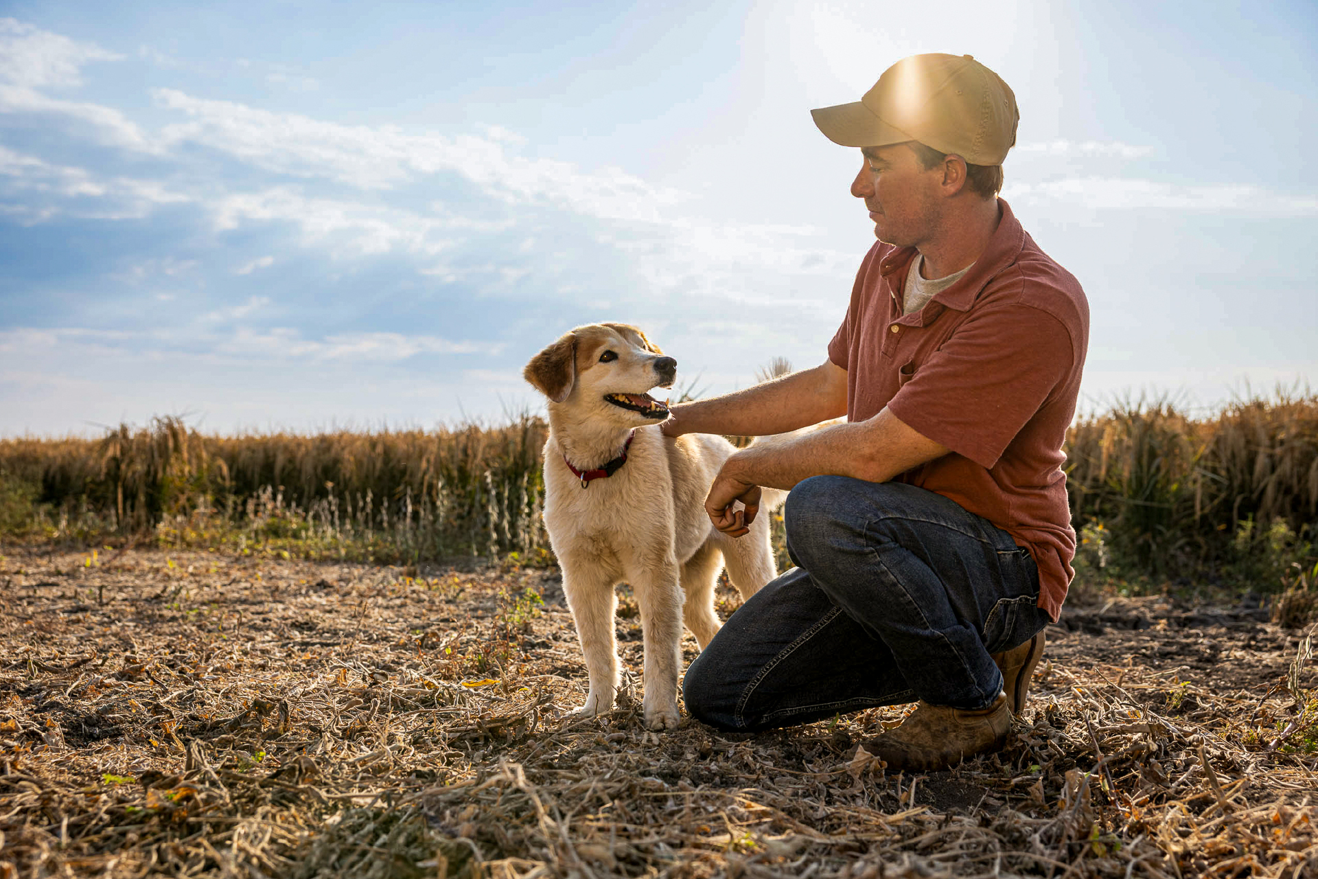 Man and dog on farm