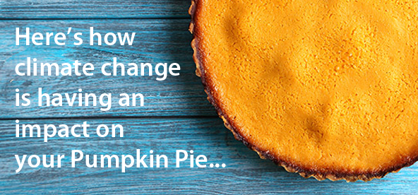 pumpkin_pie_button.png