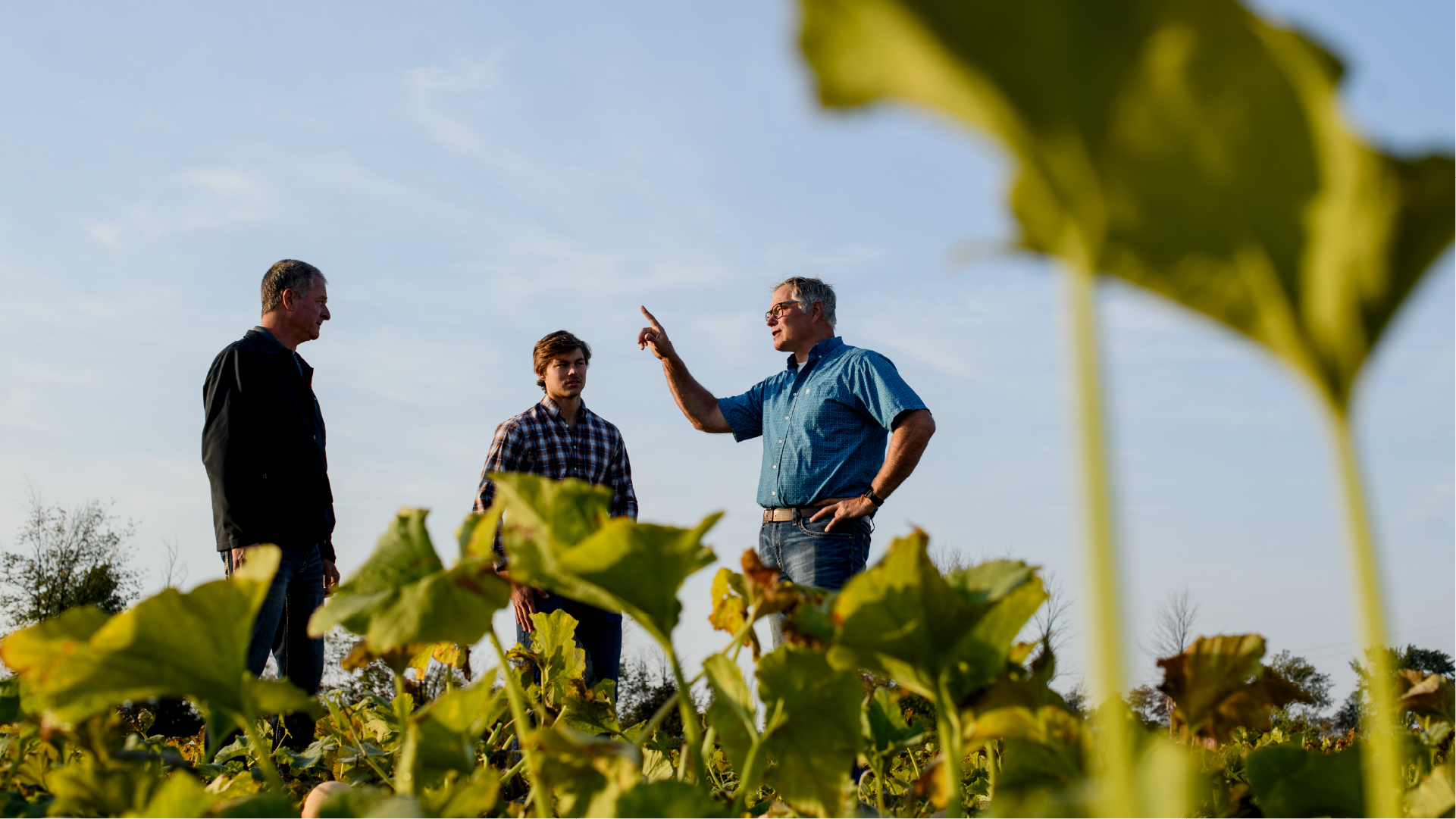Three people on farm