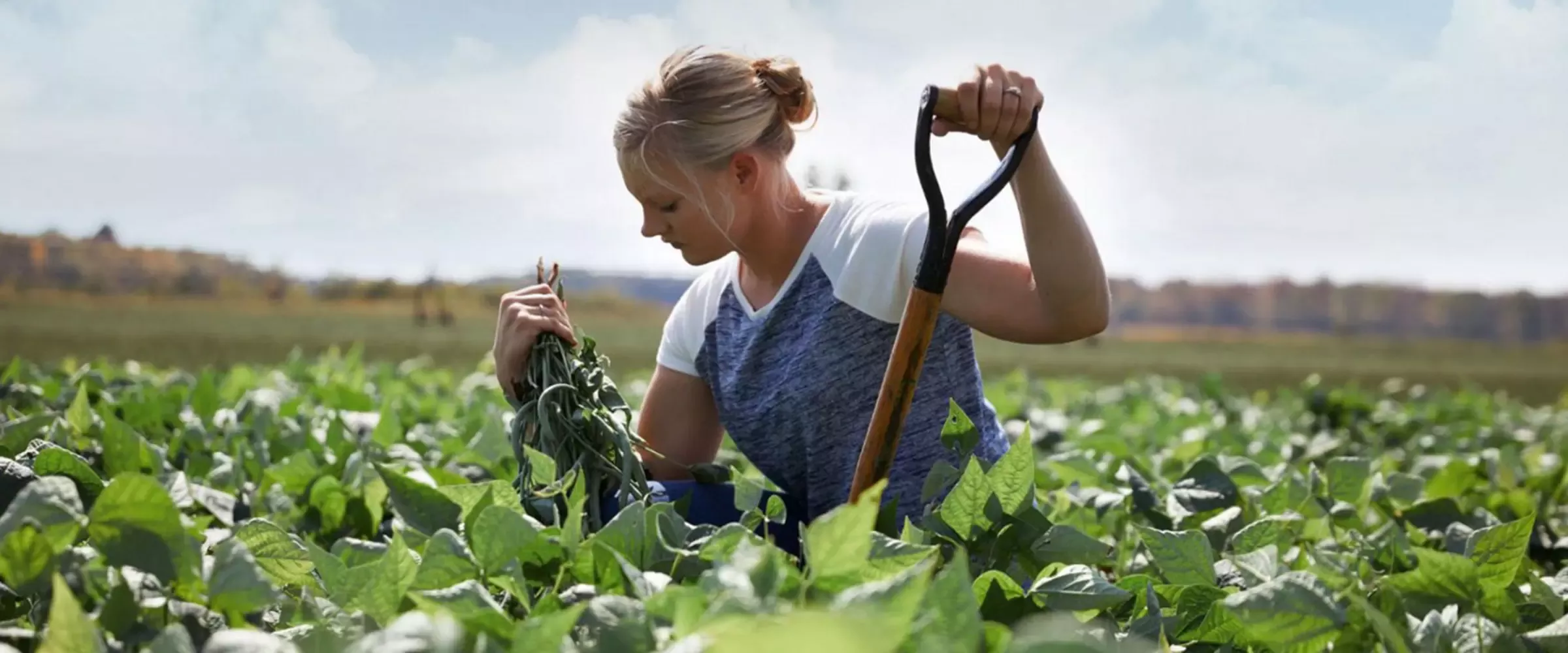 Regenerative Ag