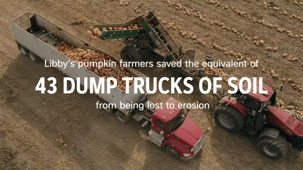 Libbys Pumpkin Gif 2023