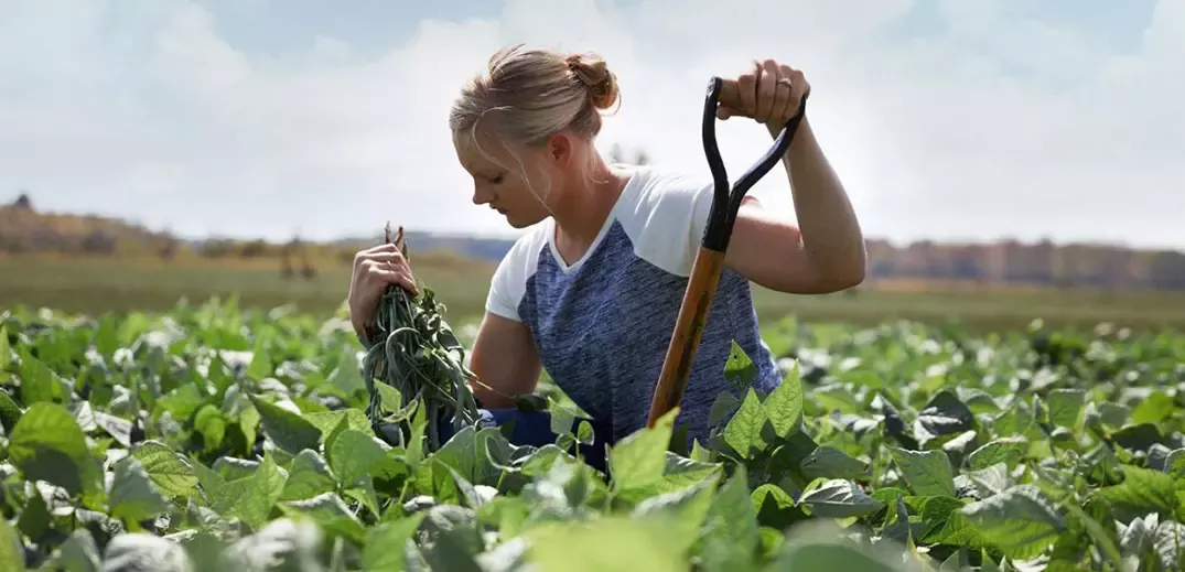 Farmer in field