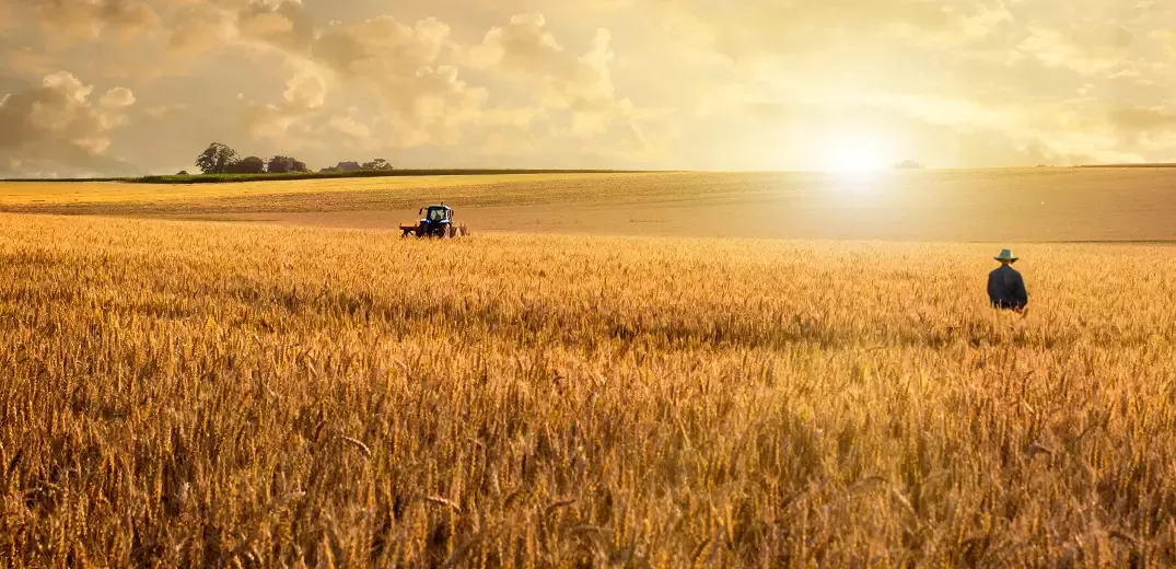 Regenerative Agriculture