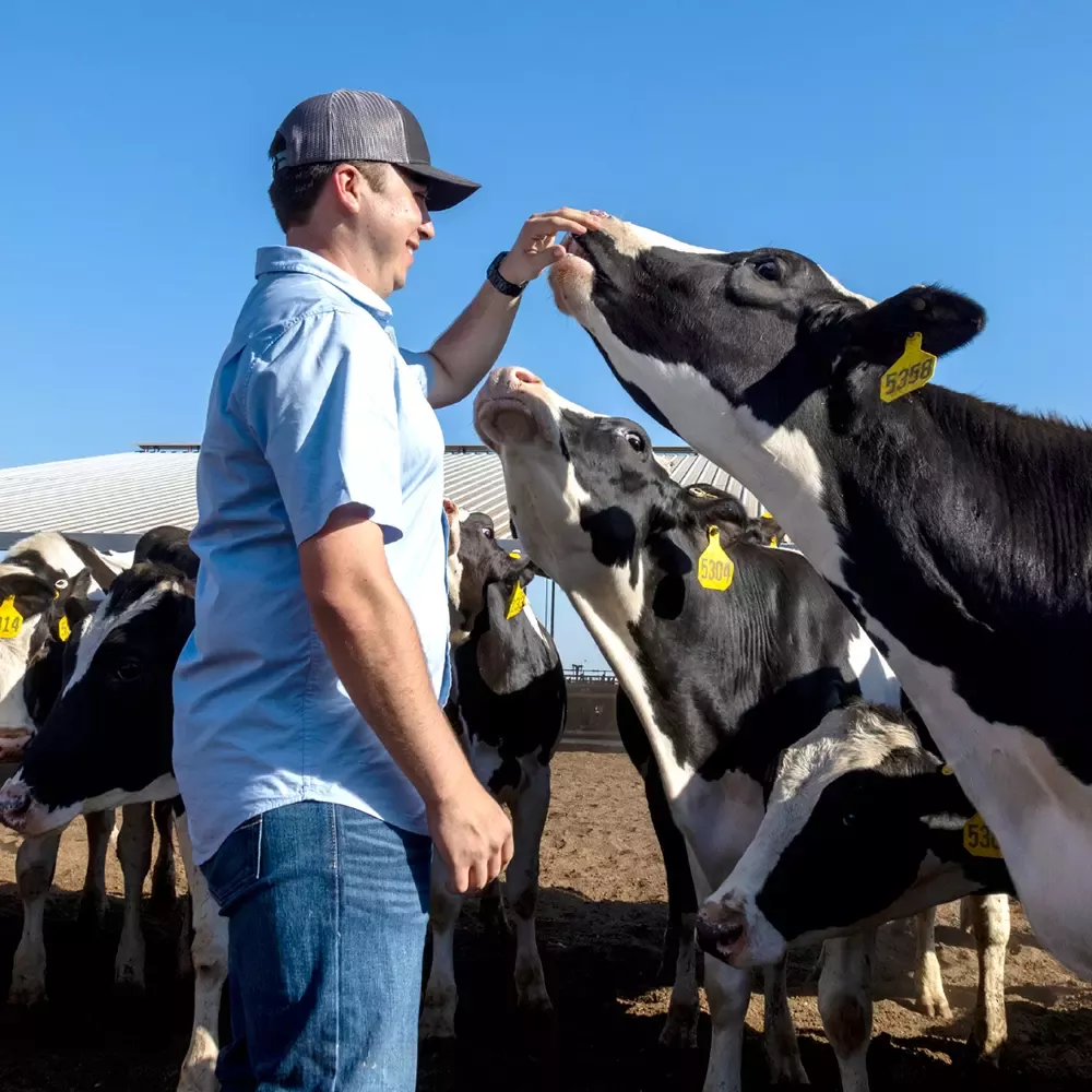 Farmer with cow