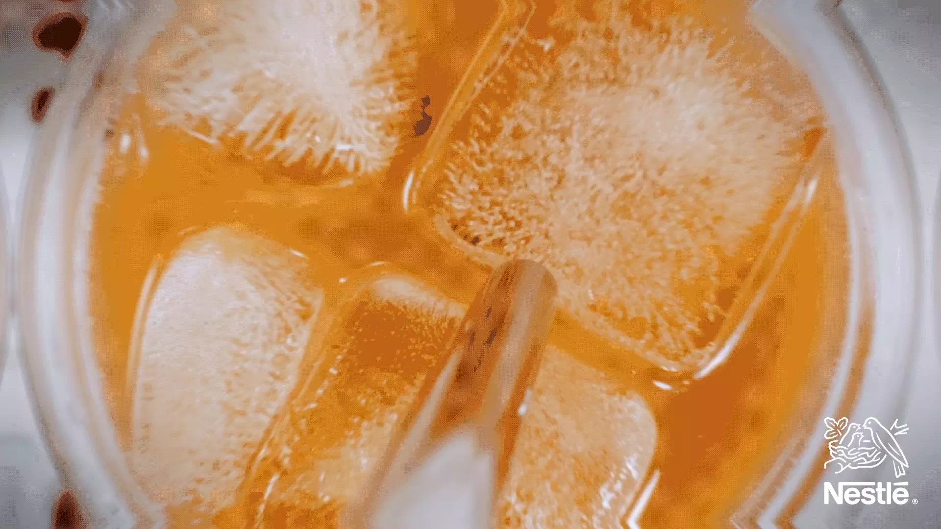 Starbucks Creamer in Iced Coffee