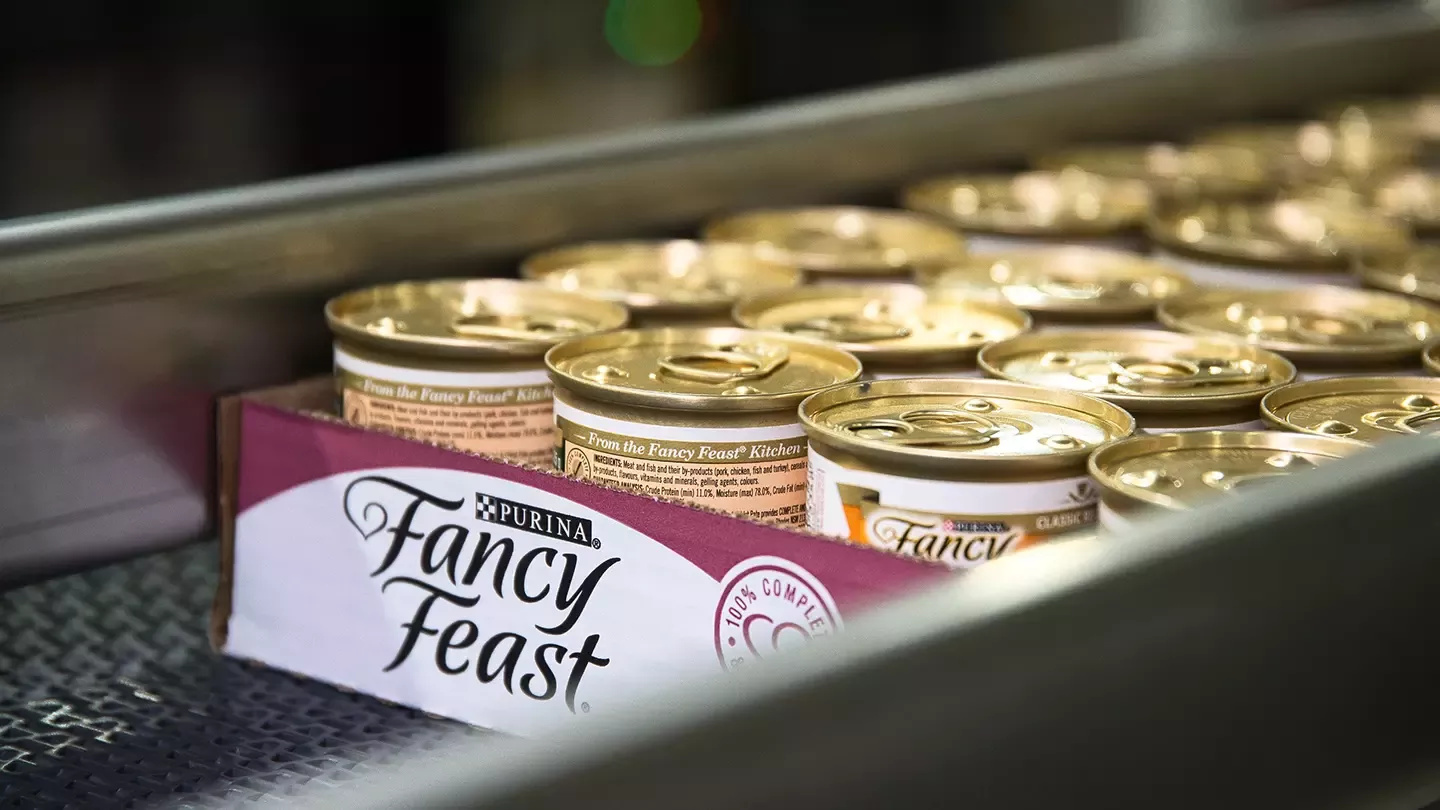 Fancy Feast Food on Factory Line