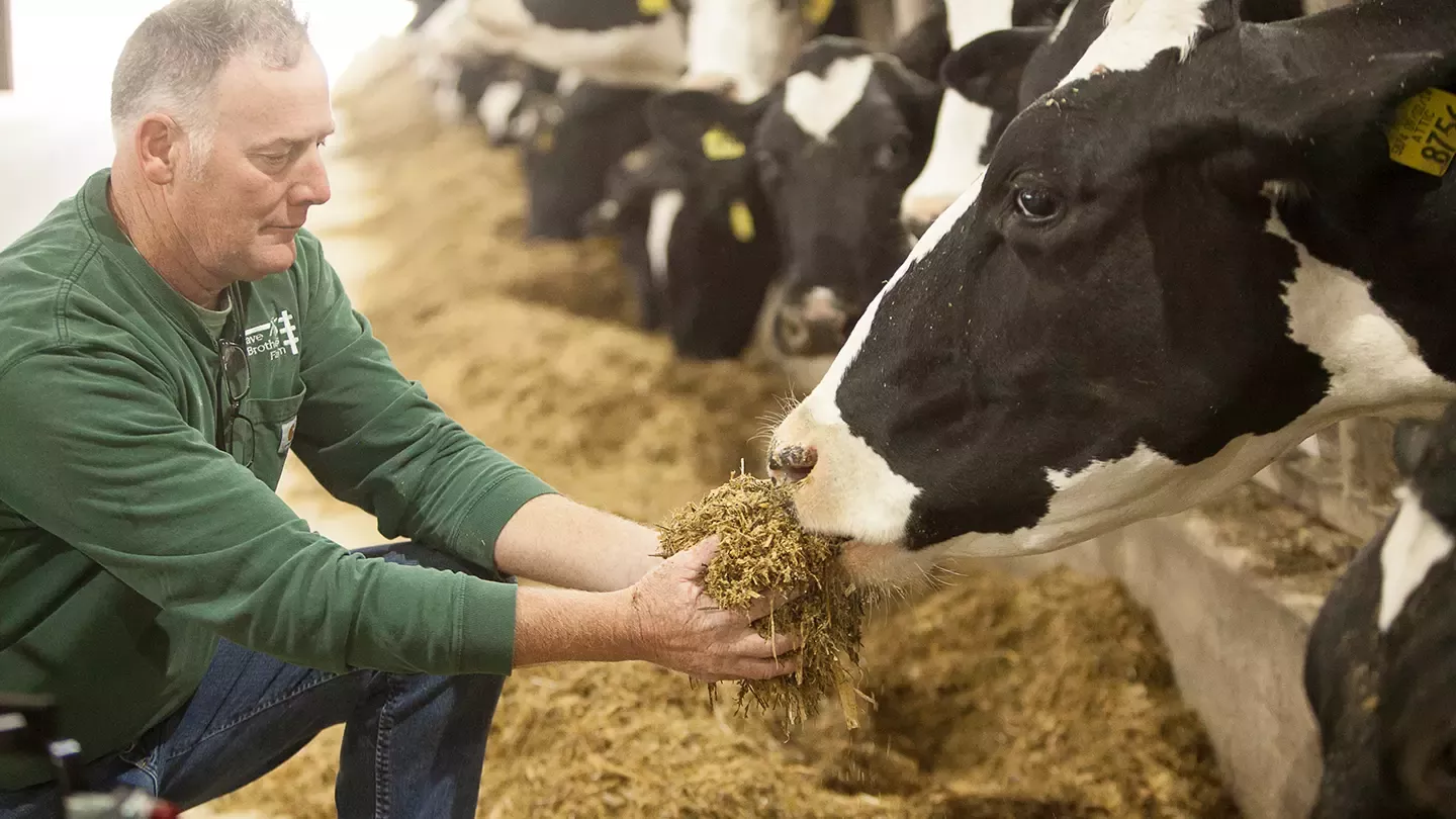 Farmer with Dairy Cow