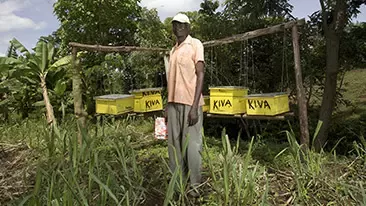 Helping Farmers and Injecting New Life Into South Sudan’s Honey Sector