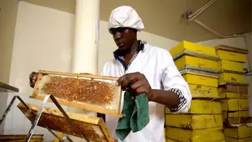 Honey Care Africa wins Nestlé’s Creating Shared Value Prize