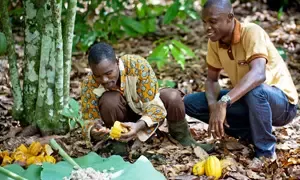Nestlé retains top slot on Oxfam sustainability scorecard