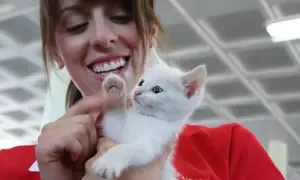 Purina Acquires Leading Pet Adoption Website